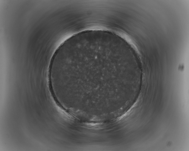 X0000097841229200803141200