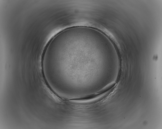 X0000097841230200803141200