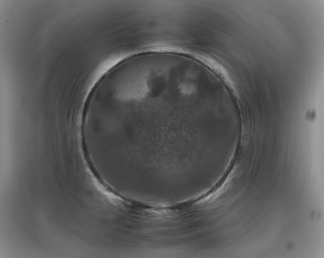 X0000097841231200803141200
