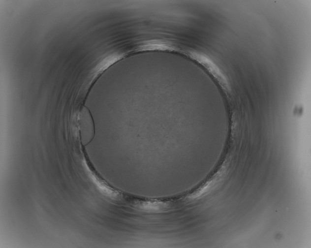 X0000097841233200803141201