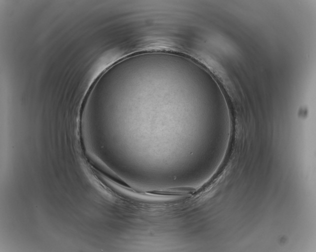 X0000097841234200803141201