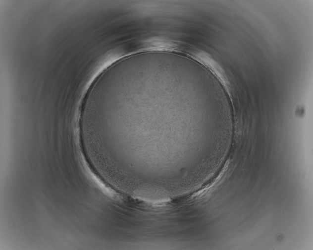 X0000097841235200803141201