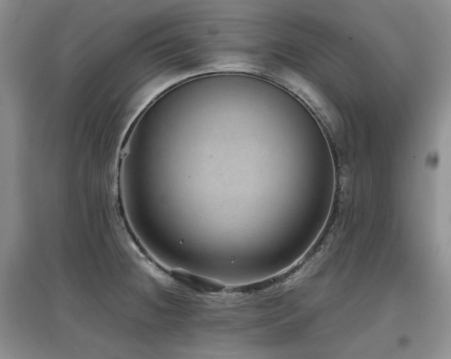 X0000097841236200803141201