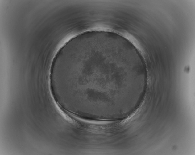 X0000097841237200803141201
