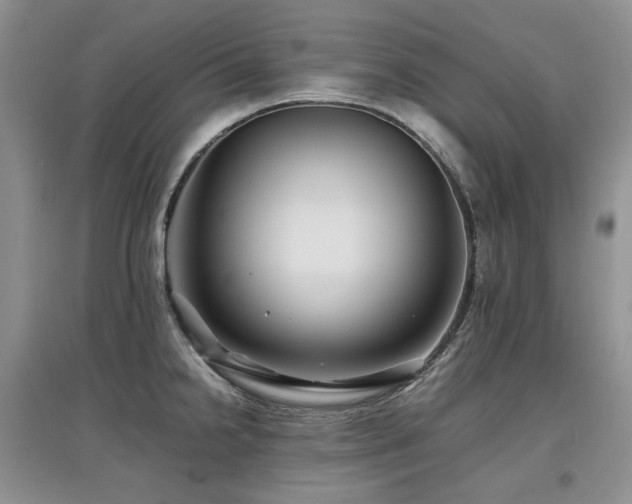 X0000097841238200803141201