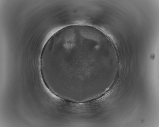 X0000097841239200803141201
