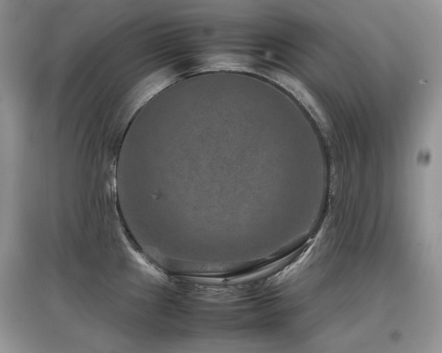 X0000097841241200803141201
