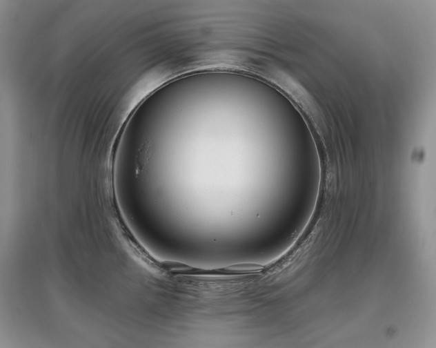 X0000097841242200803141201