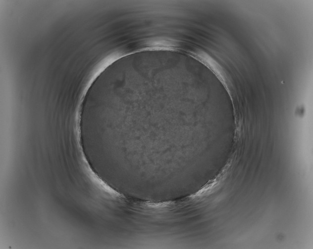 X0000097841243200803141201
