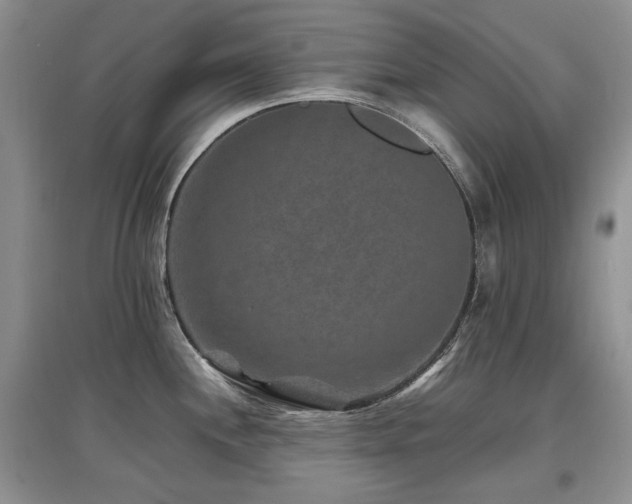 X0000097841244200803141201
