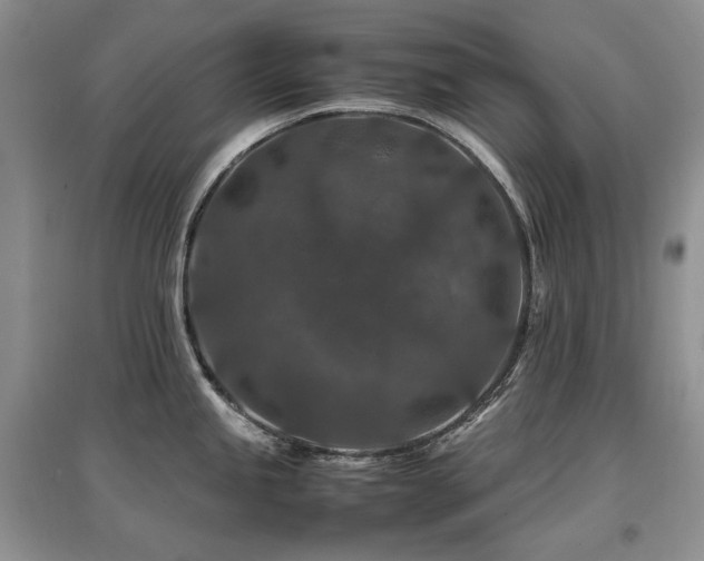 X0000097841245200803141201