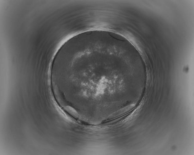 X0000097841246200803141201
