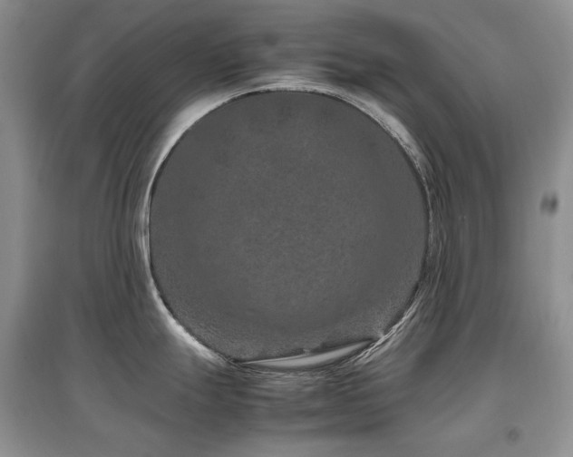 X0000097841247200803141201
