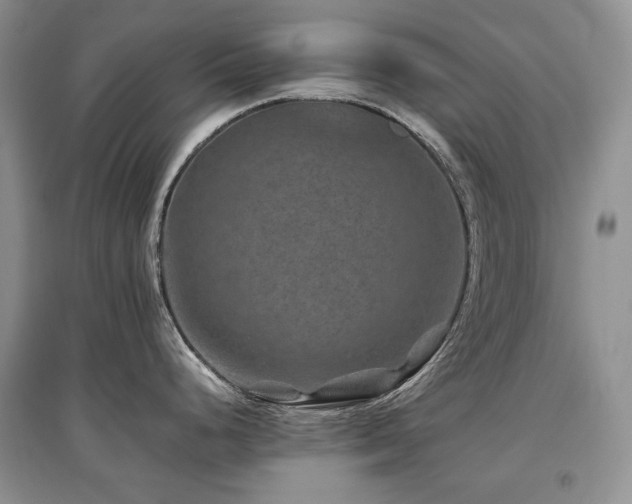 X0000097841248200803141201
