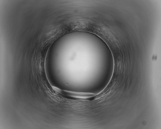 X0000097841250200803141200