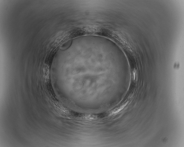 X0000097841251200803141200