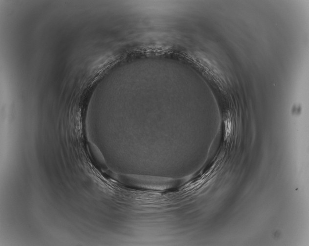 X0000097841252200803141200