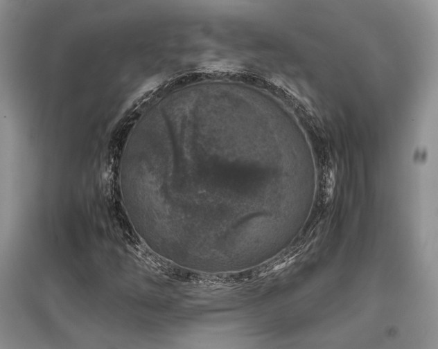 X0000097841254200803141200