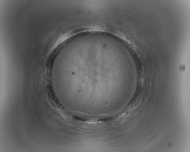 X0000097841255200803141200