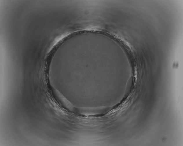 X0000097841256200803141200