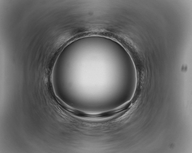 X0000097841257200803141200
