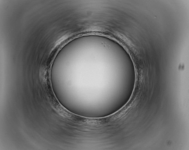 X0000097841258200803141200