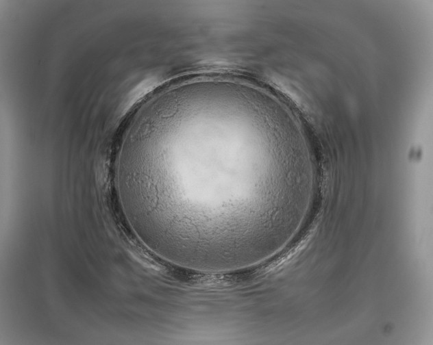 X0000097841259200803141200