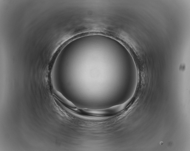 X0000097841260200803141200