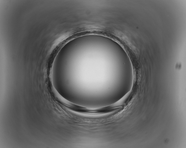 X0000097841261200803141200