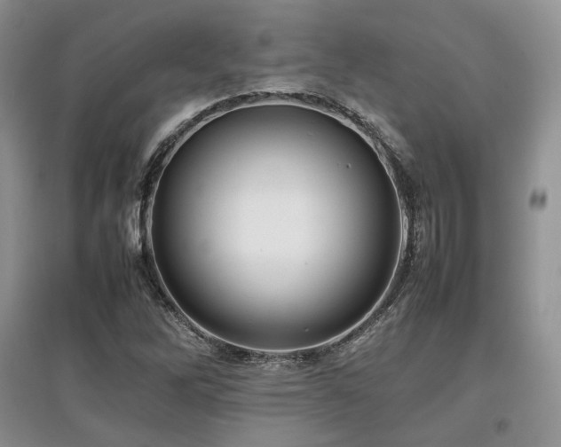 X0000097841262200803141200