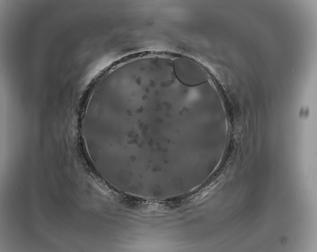 X0000097841263200803141200