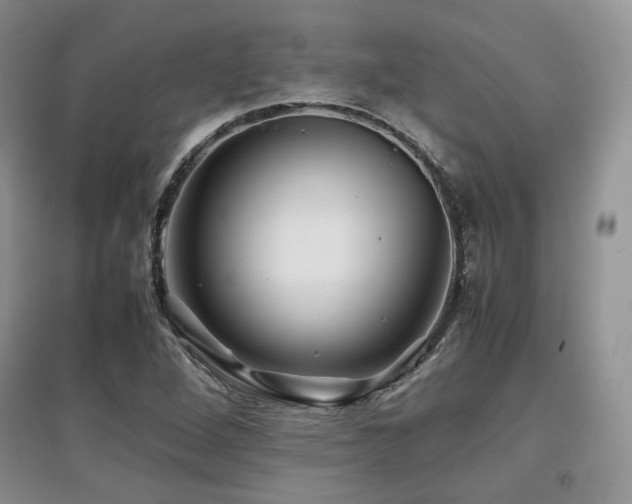 X0000097841264200803141200