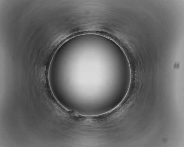 X0000097841265200803141200