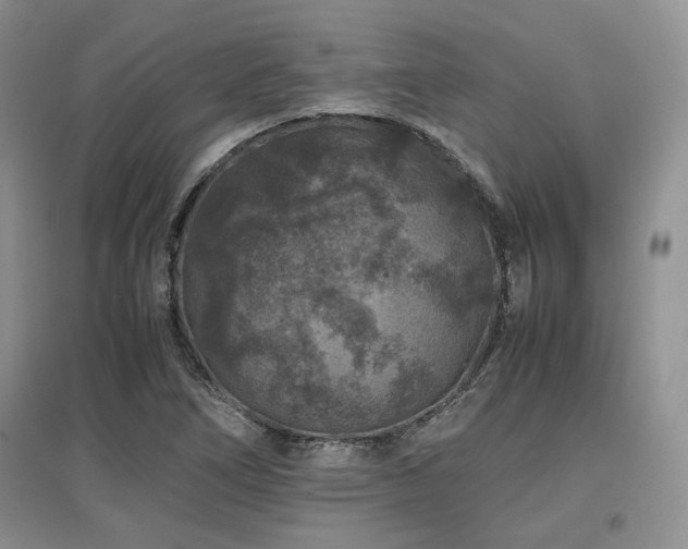 X0000097841266200803141200