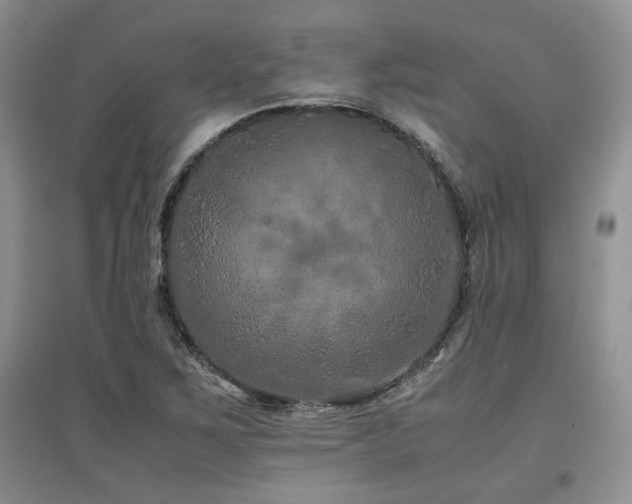 X0000097841267200803141200