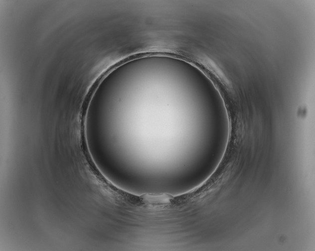 X0000097841268200803141200