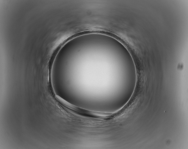 X0000097841269200803141200