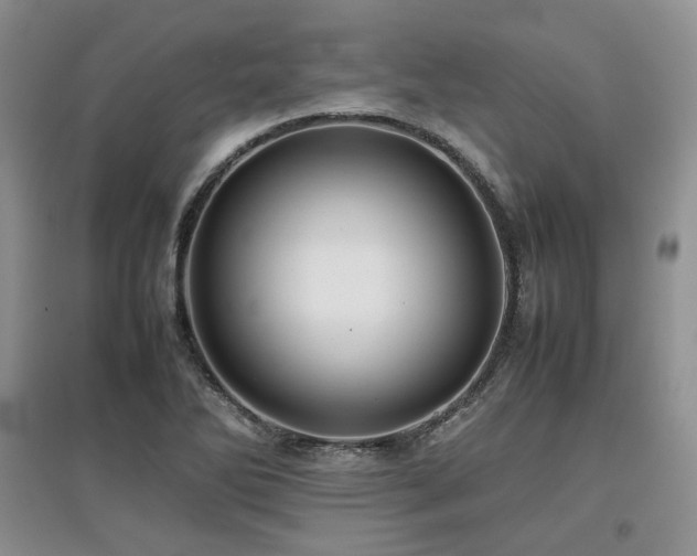 X0000097841270200803141200