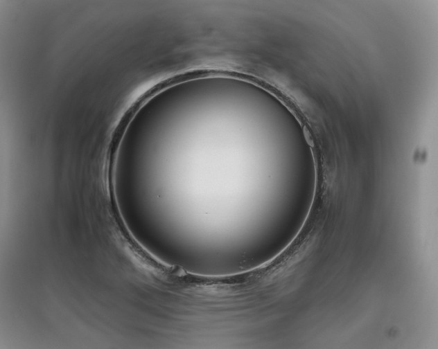 X0000097841272200803141200