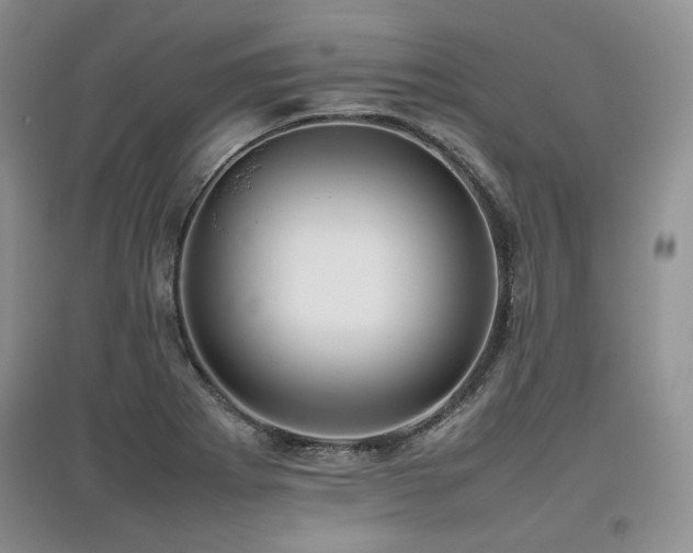 X0000097841273200803141200