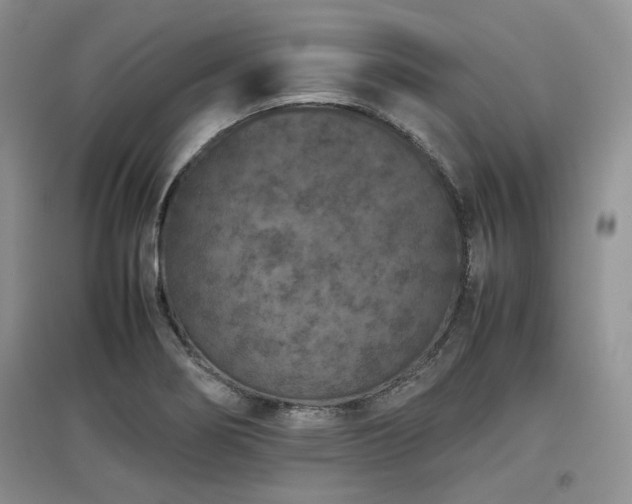 X0000097841274200803141200