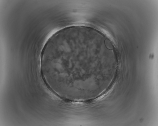 X0000097841275200803141200