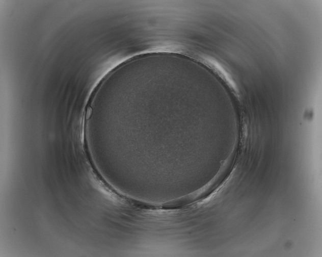 X0000097841276200803141200