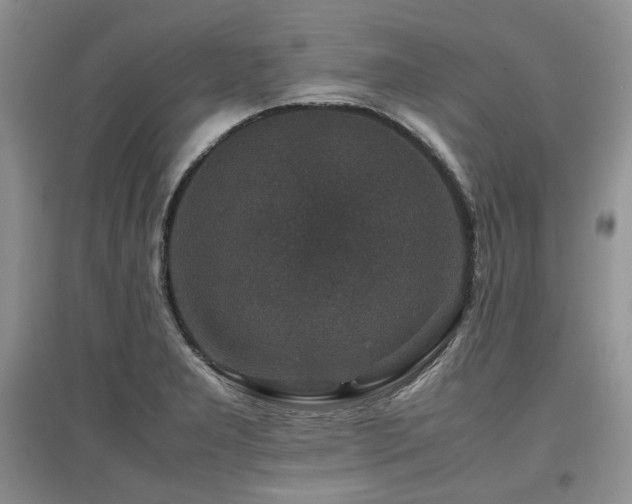 X0000097841277200803141200