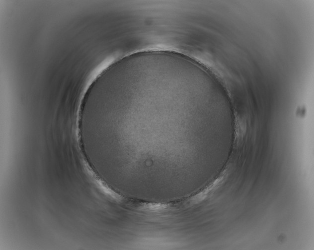 X0000097841278200803141200