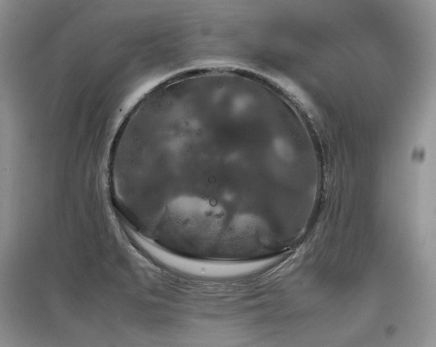 X0000097841279200803141200