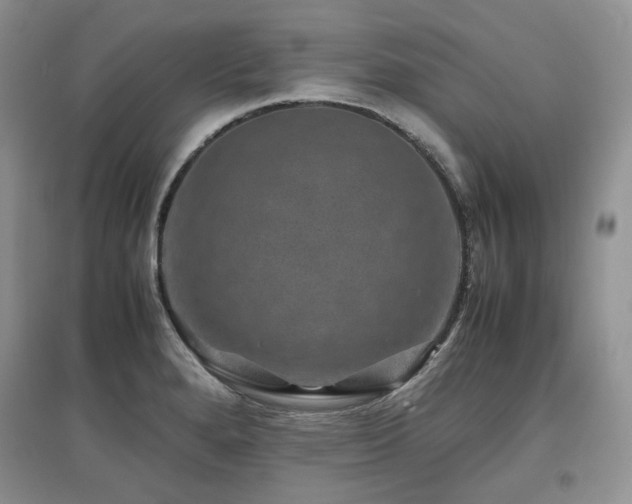 X0000097841280200803141200