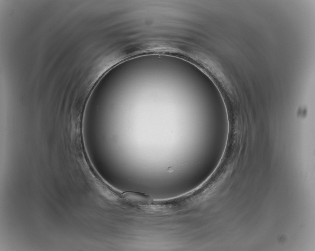 X0000097841281200803141159