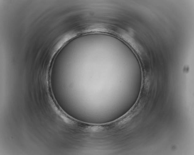 X0000097841282200803141159