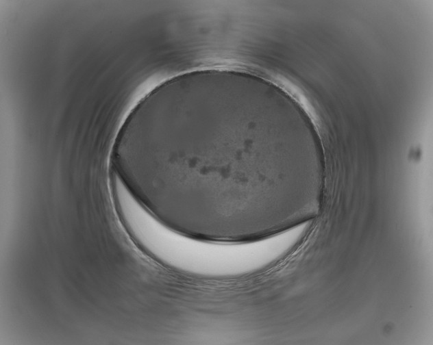 X0000097841283200803141159